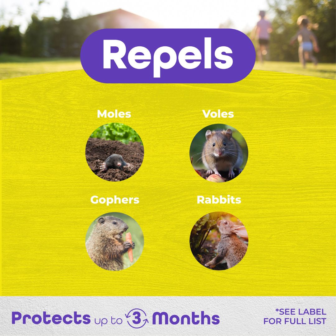 MoleMax Mole & Vole Repellent Spray – Bonide – 32 oz